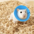 thumbnail image 4 of Adjustable Soft Neck Collar for Parrots and Small Bird Proof Pet Recovery, 4 of 6