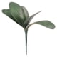 thumbnail image 3 of Hojas de Orquídeas Phalaenopsis Verdes Artificiales Arreglo de Plantas de Tacto Real para Decoración de Bonsái de Jardín de Flores ANGGREK  Otros, 3 of 8