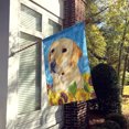 thumbnail image 2 of Carolines Treasures SC9056CHF Labrador Flag Canvas House Size, 2 of 4