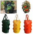 thumbnail image 3 of El jardín colgante crece los bolsos del libro de hierbas de la flor de la fresa del tomate de los bolsos la fresa de 3 galones crece la hierba del PE de los bolsos, 3 of 5