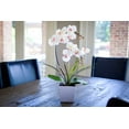 Homeseaons Orchid LampLED Lighted Orchid Arrangements,Pre Lit