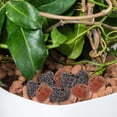 thumbnail image 5 of Black Volcanic Rock Aquarium Rocks Multi-function Stones Fish Tanks Decoration Flower Pot Decorations, 5 of 6