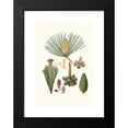 thumbnail image 2 of Aylmer Bourke Lambert 14x18 Black Modern Framed Museum Art Print Titled - Pinus Pinaster - the Pinaster, or Cluster Pine (1837), 2 of 5