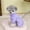 Purple, variant on Lightweight Outdoor UV Protection Clothing for Pets - Breathable Summer Gear for Dogs and Cats