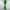 Green, variant on Flare Leggings for Women,High Waisted Bootcut Yoga Pants Workout Bell Bottom Leggings Business Office Pants