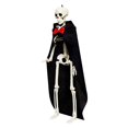 thumbnail image 4 of D Halloween Movable Skeleton Human Model Skulls Full Body Mini Figure Scary 4 W5 G8Q4, 4 of 9