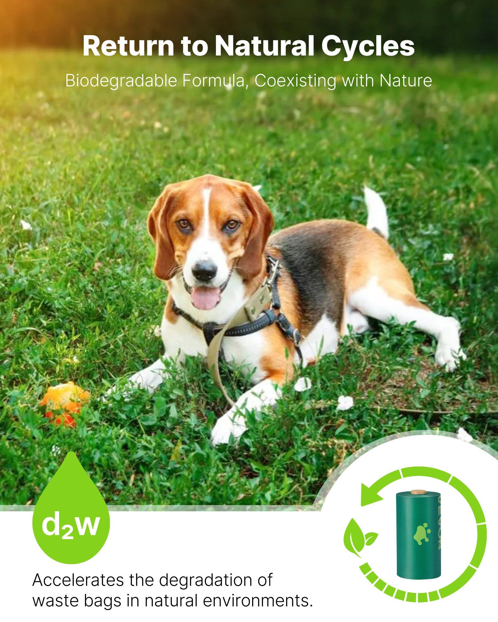 270PCS Dog Poop Waste Bags Refill Rolls, Thick 15-Micron Leak-Proof Biodegradable Pet Waste Bags with Lavender Scent, Eco-Friendly D2W Formula, Fits Standard Dispensers for Daily Dog Walking