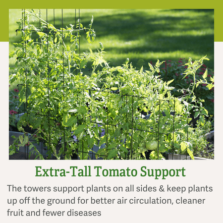 Tomato Towers Set of 2