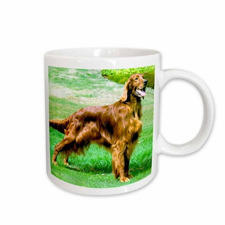 

3dRose Irish Setter - Ceramic Mug 15oz (mug_485_2)