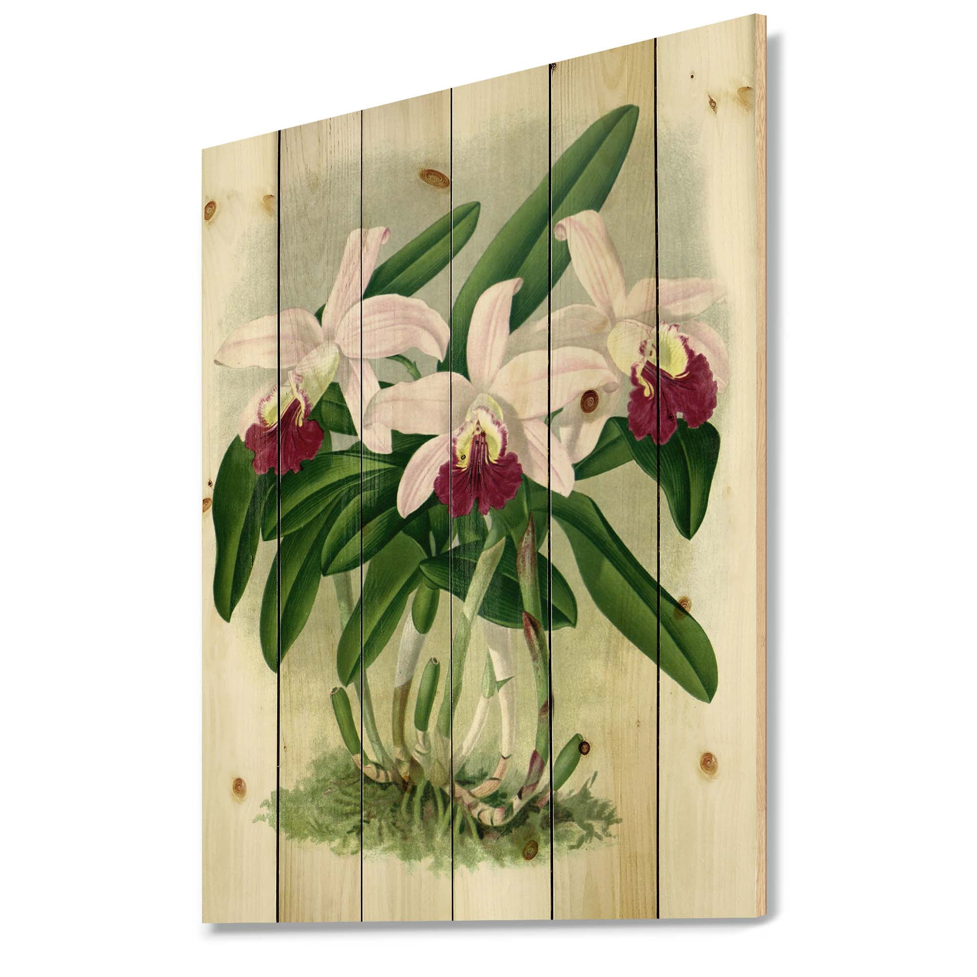 Designart 'White Vintage Orchid Flower I' Traditional Print on Natural Pine Wood