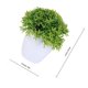 thumbnail image 5 of QUMIIRITY 2Ud Planta Artificial De Bambú Verde Para Hogar Oficina, 5 of 6