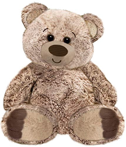 first main teddy bears