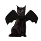 thumbnail image 1 of Ropa De Gato Transfronterizo Disfraces De Perro De Halloween Mascota Alas De Murciélago Estilo Campana, 1 of 4
