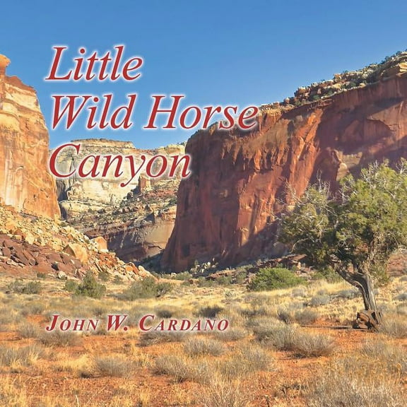 Little Wild Horse Canyon (Paperback)