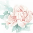 thumbnail image 2 of Pete, Katrina 20x20 White Modern Wood Framed Museum Art Print Titled - Poetic Blooming I Pink, 2 of 4