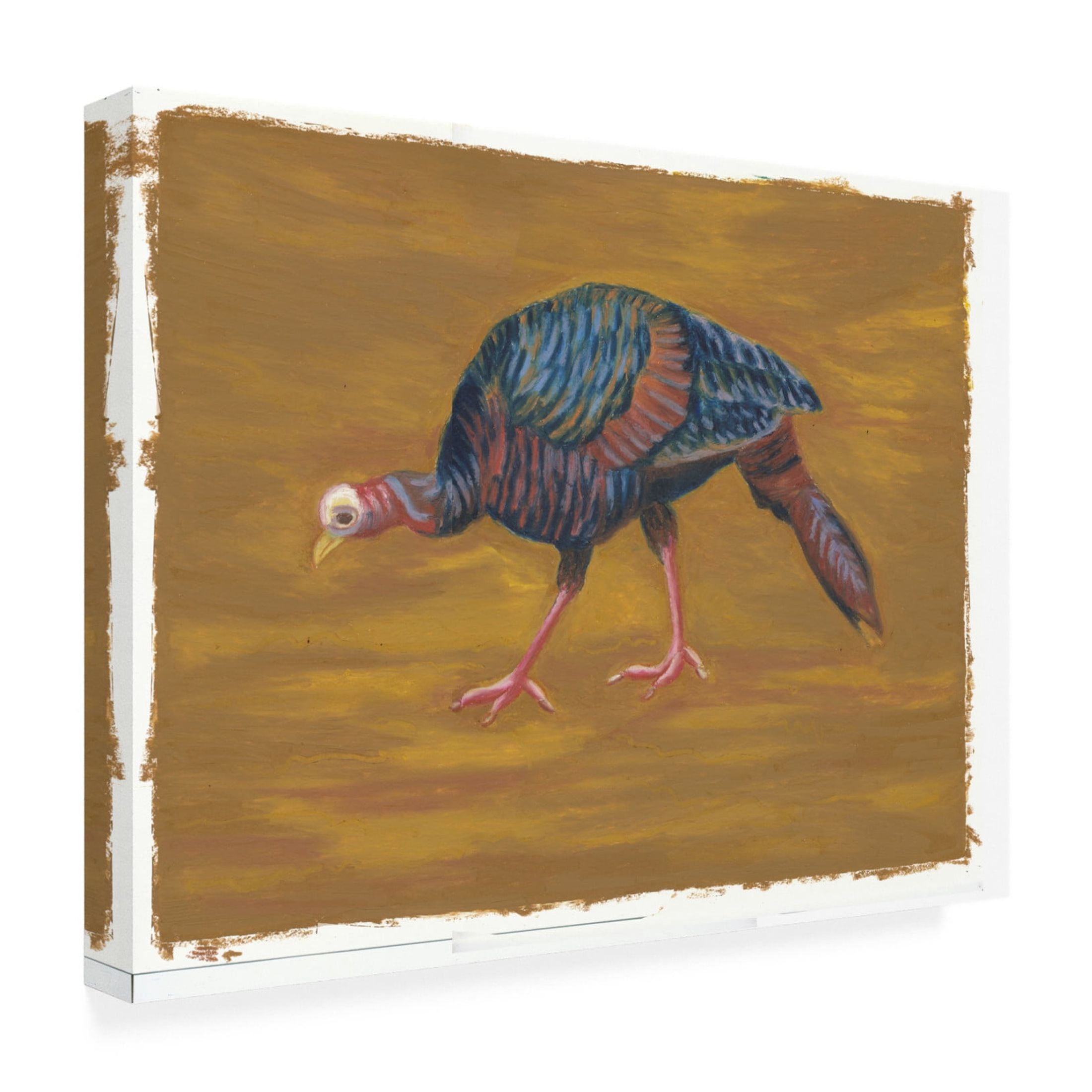 Canvas Wall Art - Andrea Strongwater 'Game Birds Turkey Girl' Wall Art for Living Room, Bedroom, or Office Décor by Trademark Fine Art - 24 x 18 Inches