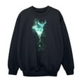 thumbnail image 1 of Harry Potter Boys Patronus Mist Stag Sweatshirt, 1 of 8