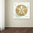 thumbnail image 3 of Trademark Fine Art 'Silver Sea Life Aqua Sanddollar' Canvas Art by Wild Apple Portfolio, 3 of 3