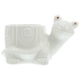 thumbnail image 1 of Maceta para suculentas con forma de tortuga, color blanco, para el hogar, 1 of 5