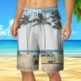 Chu Chu Men's Swimming Trunks Shorts for Men Mens Casual Shorts 9 Inch