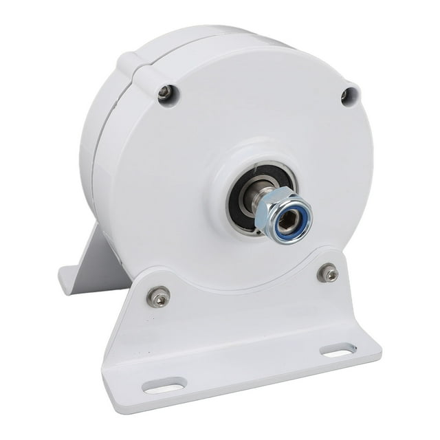 Generador de doble eje 12V Oso de Fresa Motor eléctrico síncrono de imán permanente