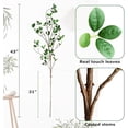 thumbnail image 2 of Artificial Eucalytus Green Branches Faux Ficus Twig Home Office Shop Decoration (2PCS), 2 of 6