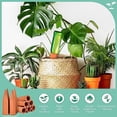 thumbnail image 3 of 10 puntas de riego automático Zhivalor para plantas de terracota, 3 of 5