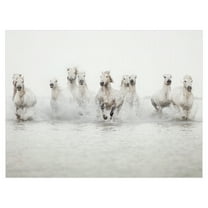 White Horses by Irene Suchocki Running Wild Horses Photo Canvas Art