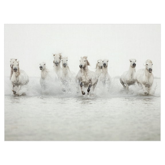 White Horses by Irene Suchocki Running Wild Horses Photo Canvas Art