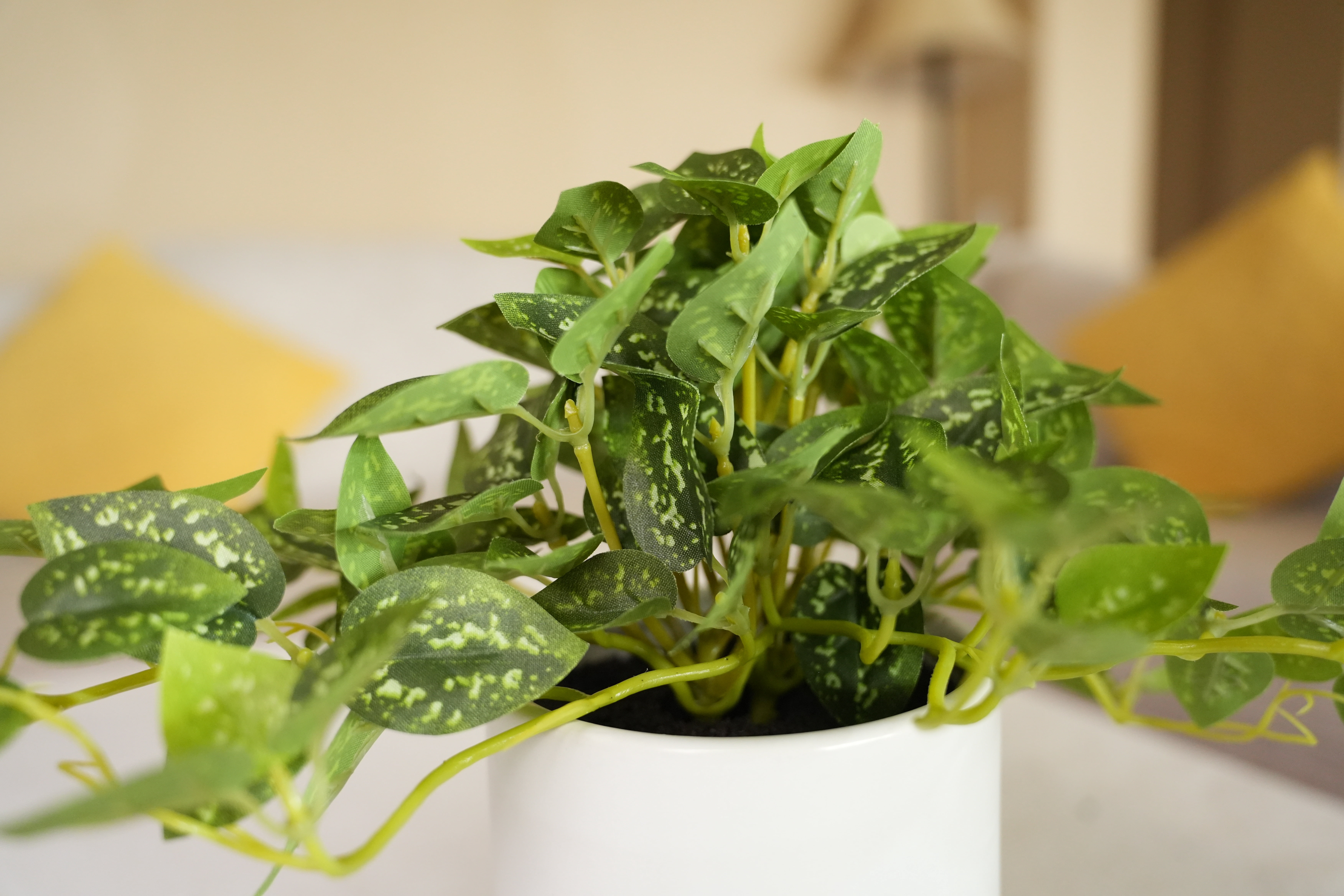 Artificial Trailing Leaf Plant in Ceramic Pot, 9 in H x 7.5 in W x 7.5 in D