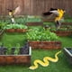 thumbnail image 1 of Serpiente de goma súper realista que ahuyenta a las aves. Serpiente falsa realista de TPR, adecuada para cobras de jardín, serpientes de cascabel, serpientes venenosas, etc., 1 of 5