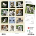 thumbnail image 2 of White Tigers | 2024 12x24" (Hanging) Square Wall Calendar | BrownTrout, 2 of 8