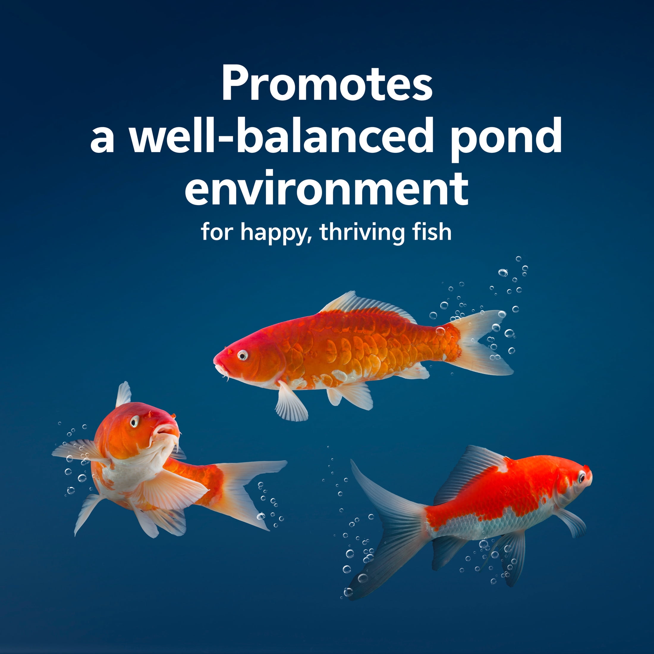 Aqueon Pure Pond Bomb 1-pack