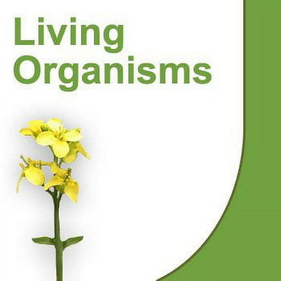 Fischerella, Living Blue-Green Algae Culture, Sufficient Materials For 30 Students