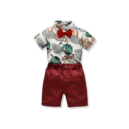 

Nituyy Baby Boy Sets Floral Leaf Shirts Shorts Summer Gentleman Outfits