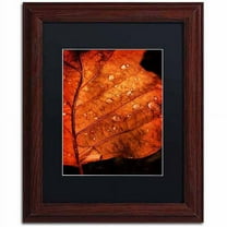 Trademark Fine Art "Autumn Droplets" Canvas Art by Philippe Sainte-Laudy, Black Matte, Wood Frame