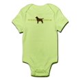 thumbnail image 1 of CafePress - My Brother Is A Chocolate Lab Infant Bodysuit - Baby Light Bodysuit, 1 of 1