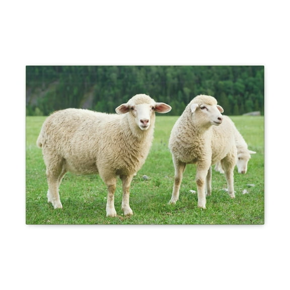 Sheep Group Sheep Troop Print Animal Wall Art Wildlife Canvas Prints Wall Art Ready to Hang Unframed