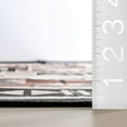 thumbnail image 6 of nuLOOM Calli SplashGuard Southwestern Machine Washable Area Rug, 9' x 12', Calli Beige, 6 of 10