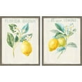 thumbnail image 1 of Great Art Now Floursack Lemon v2 by Danhui Nai, 2 Piece Framed Art Set Each 17"W x 21"H, 1 of 3