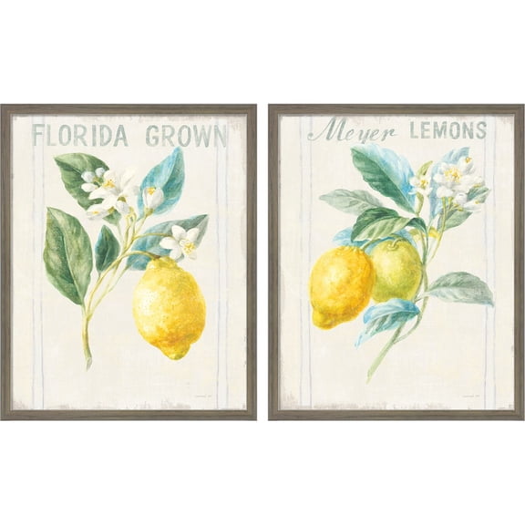 Great Art Now Floursack Lemon v2 by Danhui Nai, 2 Piece Framed Art Set Each 17"W x 21"H