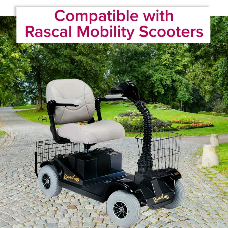 AlveyTech 24 Amp On-Board for Rascal Electric Mobility Scooter, Power Chair - Walmart.com