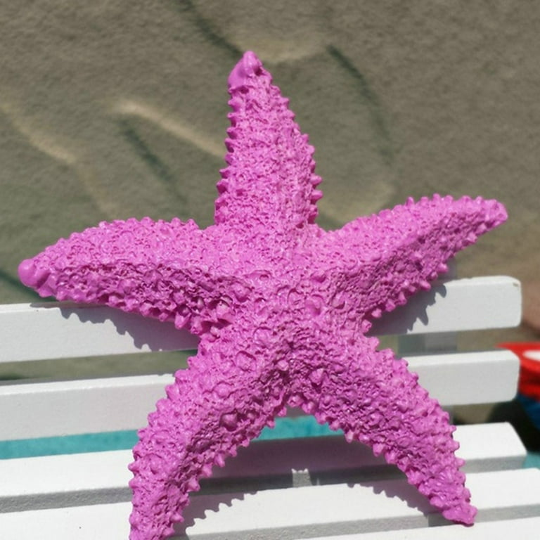 Natural Starfish Tiny Size Flat Crafts Decor for Aquarium Micro-landscape  40 Pcs for sale online