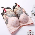 thumbnail image 2 of Ladies no steel ring gather adjustment type print seamless one piece bra sexy underwear floral push up bra underwearpangjing, 2 of 4