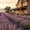 Sunset Lavender01, variant on Spring White Barn Cow Daisy Field Framed Wall Art, Solid Wood Frame Farm Country Landscape Print, Rustic Pastoral Wall Decor for Kitchen Living Room, 12x16in