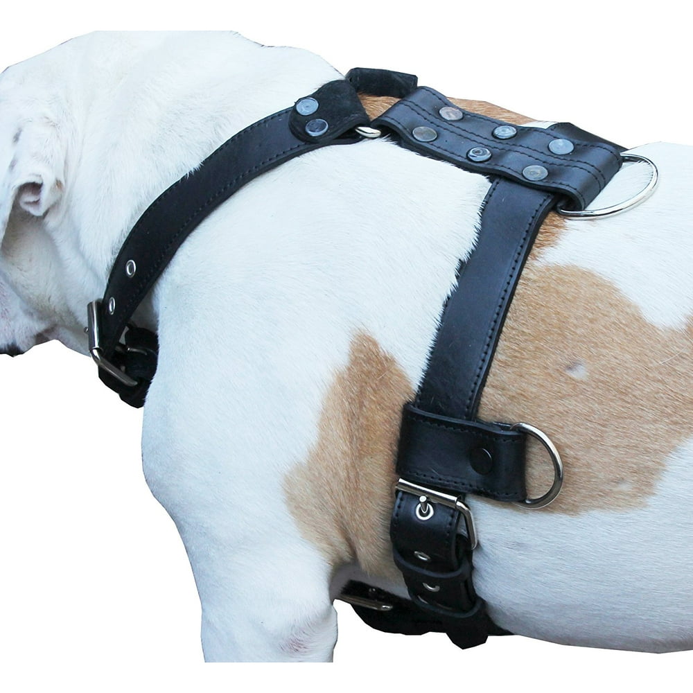 Genuine Leather Dog Harness Large 28'35' Chest, 1.3' Wide Adjustable Straps