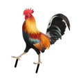 thumbnail image 1 of kurtrusly Animal Statue Chicken Sculpture for Pathway Courtyard Lawn Yard Style B 1Set, 1 of 6