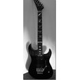 thumbnail image 5 of Marcadores De Diapasón, Pegatinas Con Incrustaciones, Calcomanías Para Guitarras Y Bajos, Alas De Murciélago, Metálicas, 5 of 5