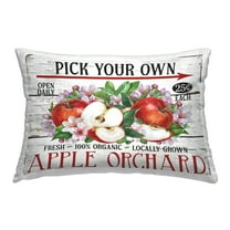 Stupell Industries Pick Your Own Apples Decorative Printed Throw Pillow Design by Creatif Belle.