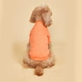 thumbnail image 4 of Cat Shirts for Cats only,Dog T Shirt Soft Cotton Basic Pet Shirt,Cute Dog Clothes for Small Dogs Boy and Girl, Lightweight Breathable Design Short Sleeves Vests for Puppy Chihuahua Yorkies(Black, L), 4 of 9